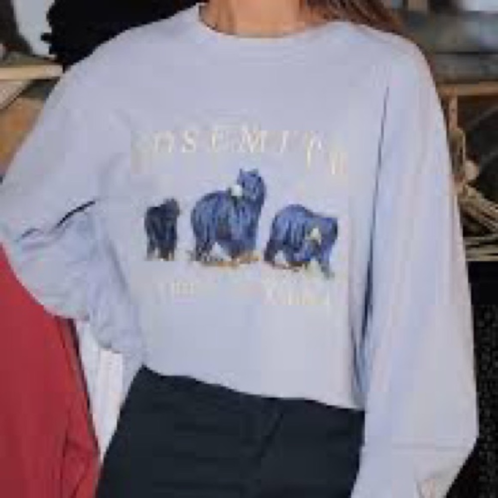 Brandy Melville Yosemite Crew Neck Crop Top